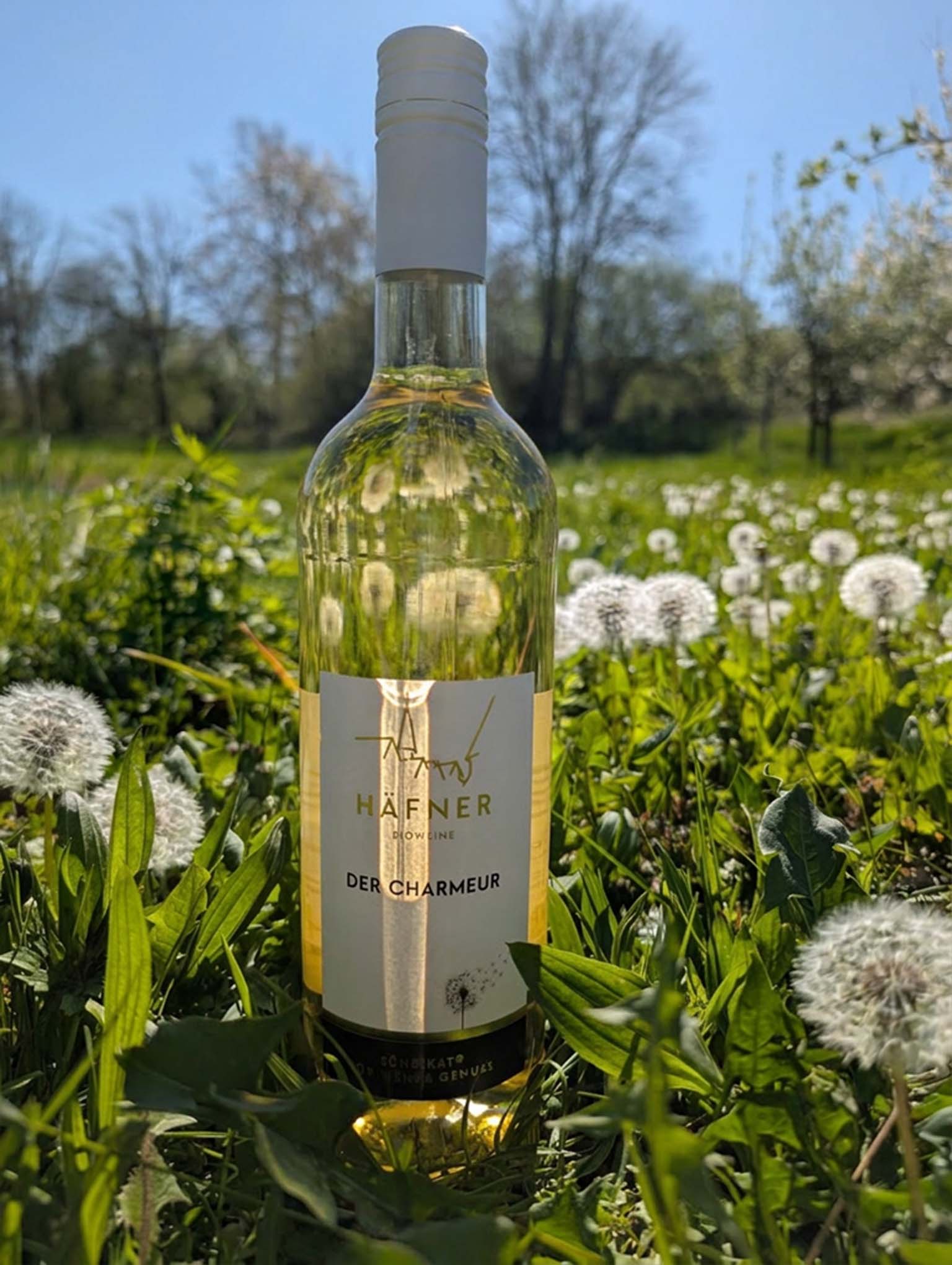 Eine Pusteblume in der Frühlingswiese des Weinguts Häfner