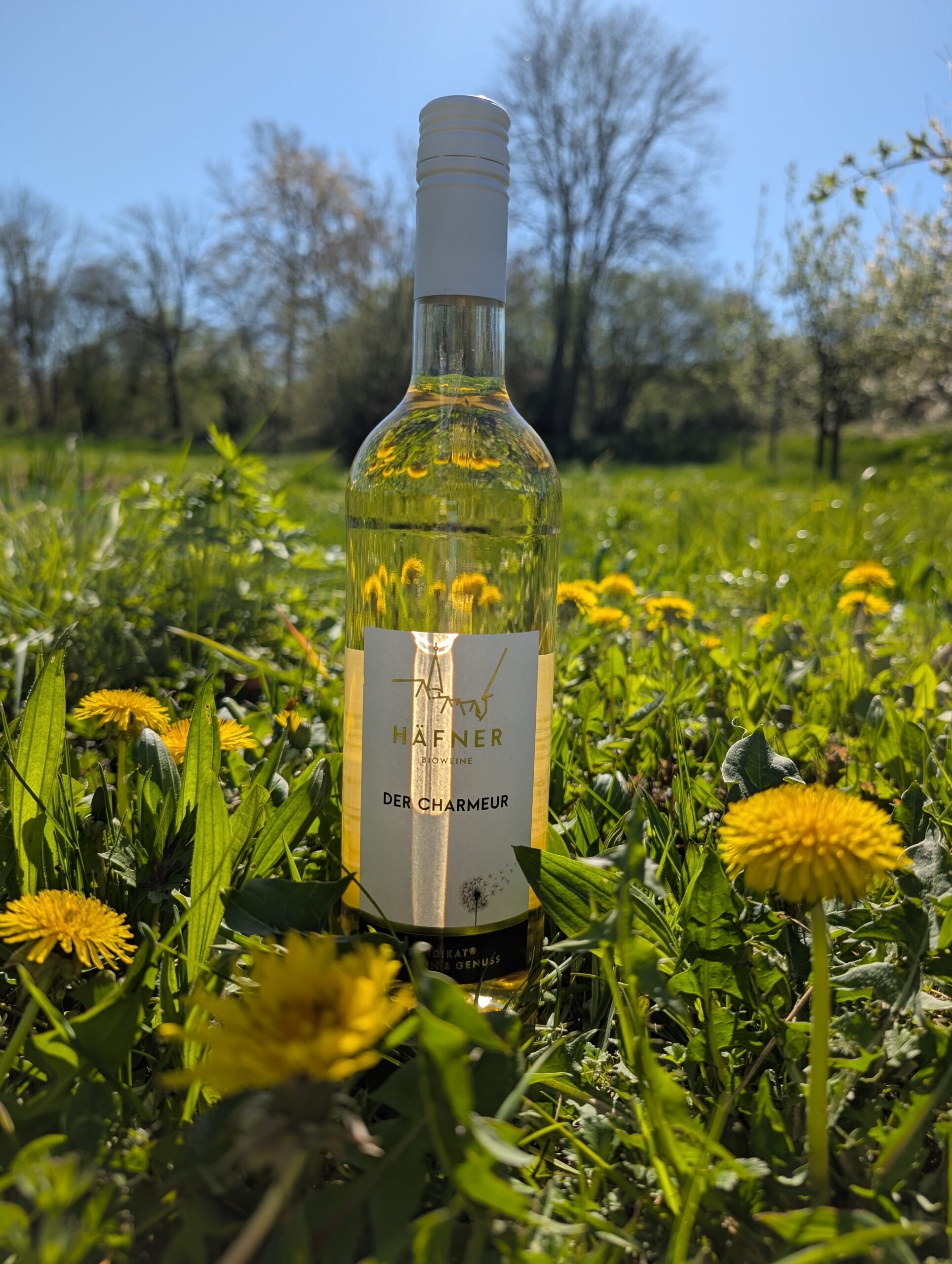 Der Charmeur, Edition Pusteblume