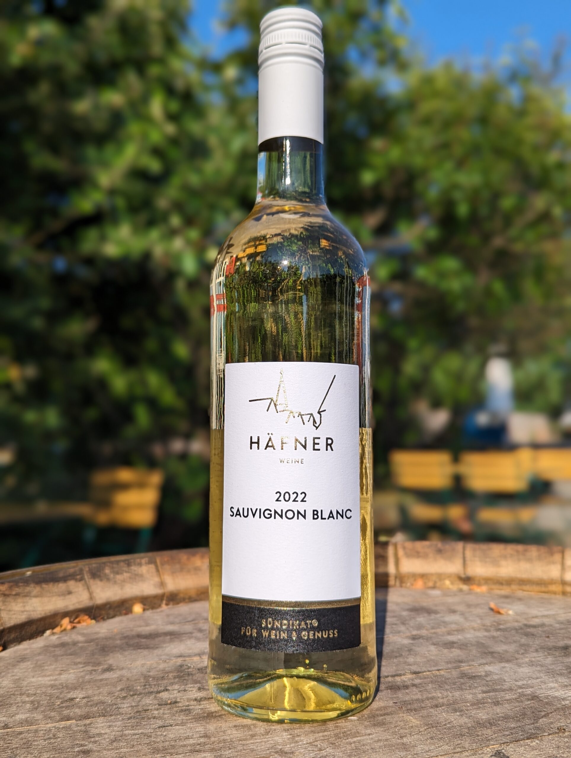 2022 Sauvignon Blanc Biowein fruchtig | Weingut W. Häfner