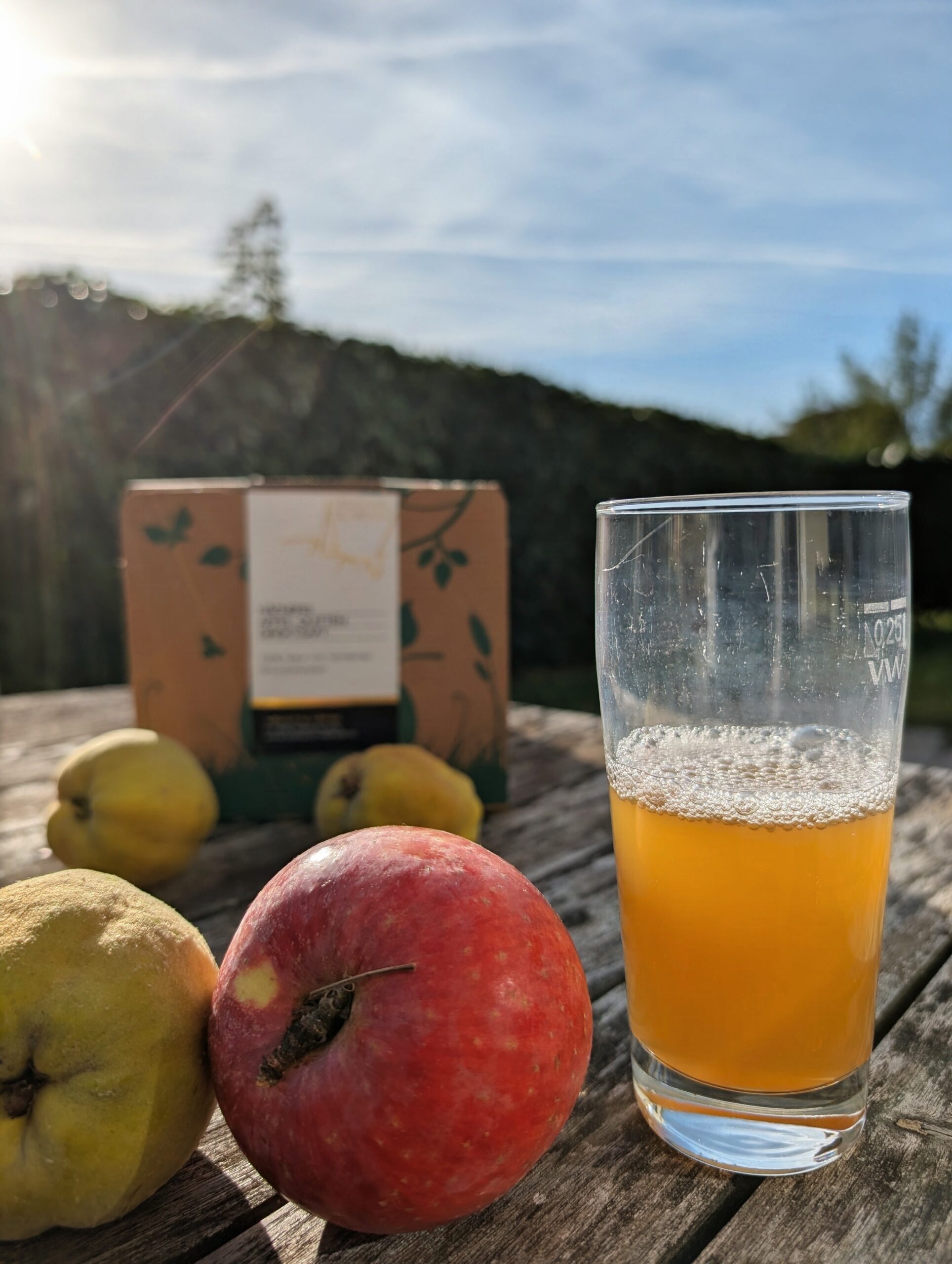 Apfel Quitten Saft